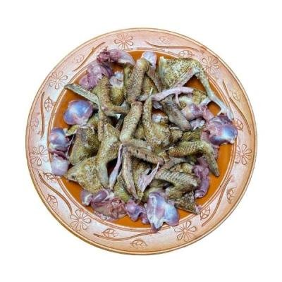 কবুতরের বাচ্চা